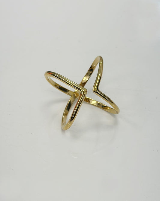ANILLO X